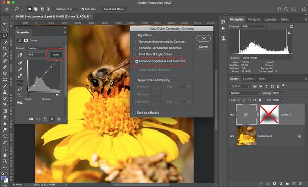 add and adjust the auto color correction to the im...