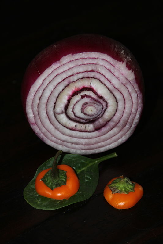 Red onion and friends!...