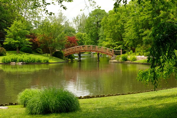 Arched pedestrian bridge in Japanese garden at the...