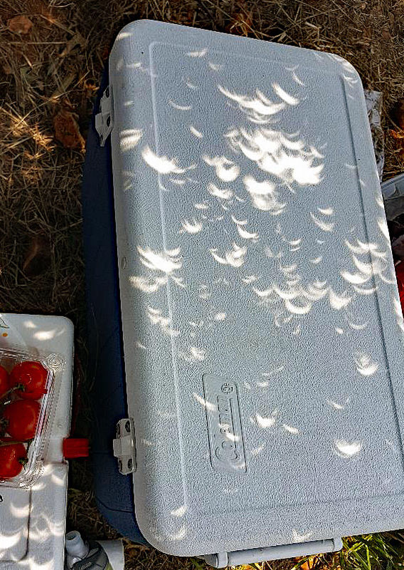 An image of the eclipse in progress on the lid of ...