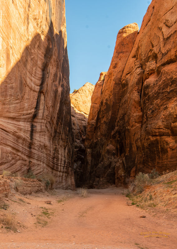 Entrance to the north part of Buckskin Gulch at th...