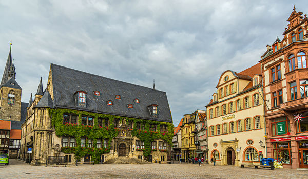 5 - Ivy-covered city hall of Quedlinburg at the no...