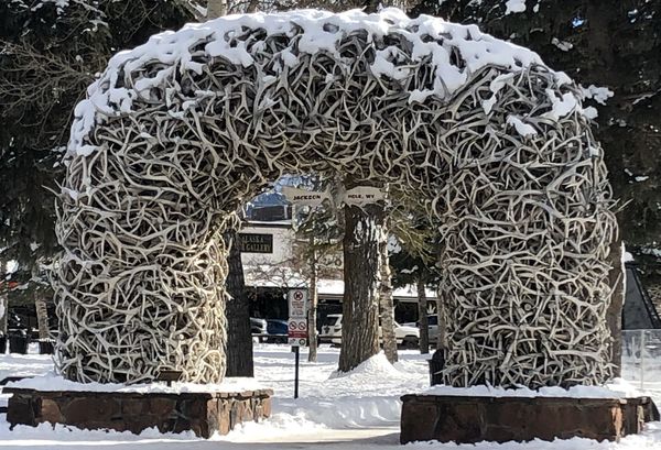 You know they got 4 of these antler arches.  One o...