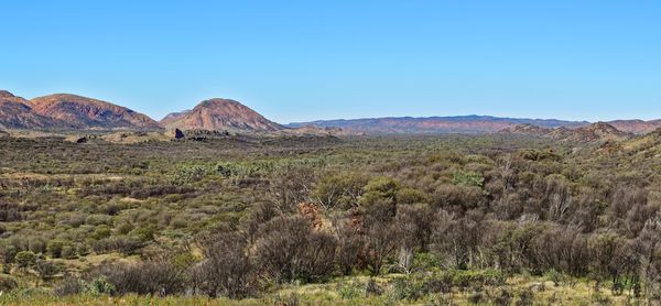 West MacDonnel Ranges 80 km west of Alice Springs,...