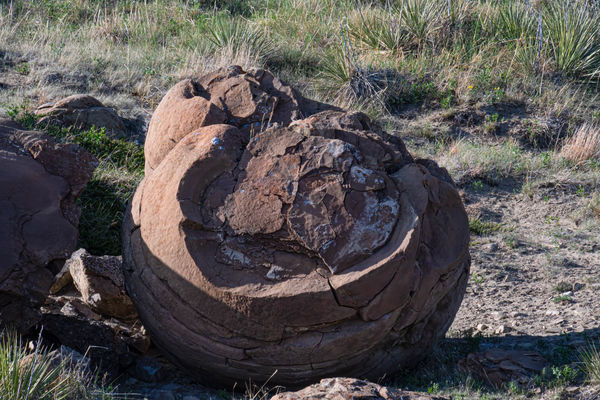 mendonoma-sightings-big-rock-a-huge-sandstone-rock-formation-on