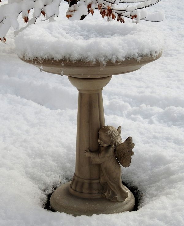 A little cherub waiting for snow birds. He's extre...