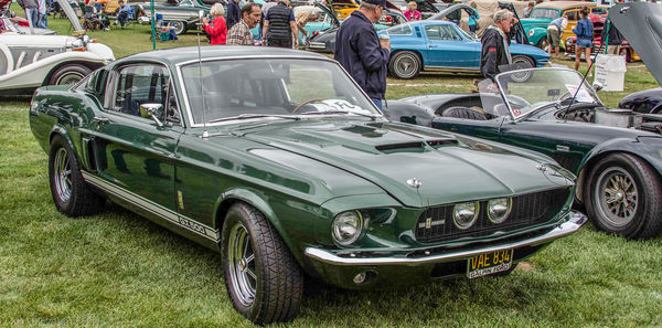 10.  1967 Ford Mustang GT 500 Fastback...