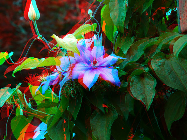 3-D Version. Use Anaglyph glasses....