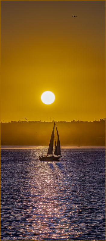 "Sunset Sail"...