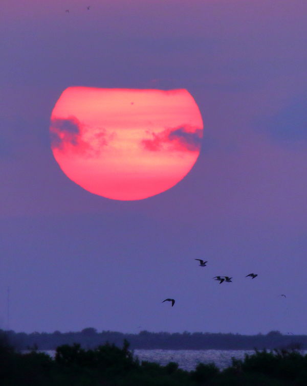 Sunset Galveston Island...