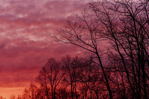Pink sunrise...