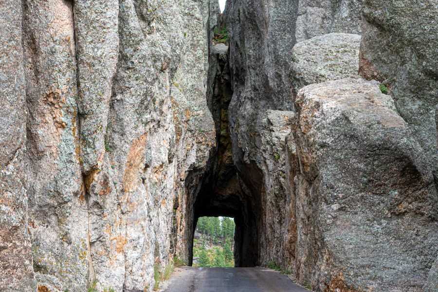 one of the tunnels on the Needles hwy...
