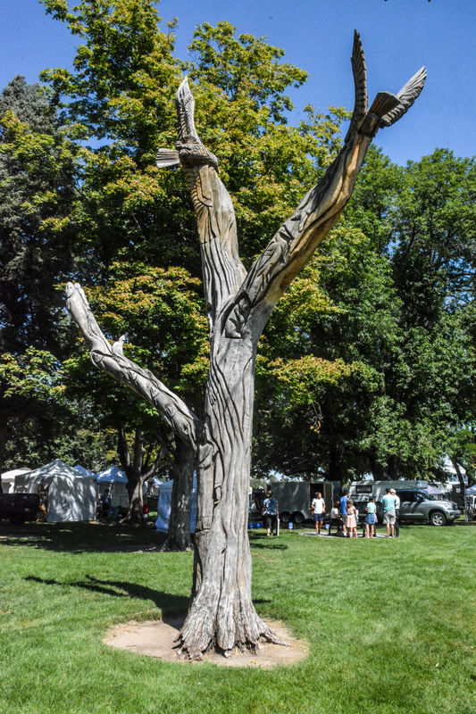 Carved tree in Howard Amon Park at Richland, Washi...