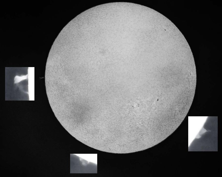 Ha Solar - A few prominences highlighted...