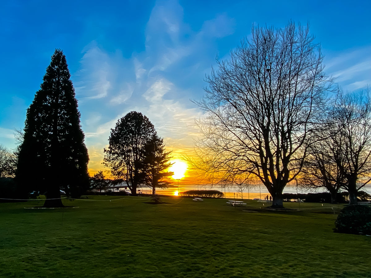 From my parking spot at the Peace Arch State Park...