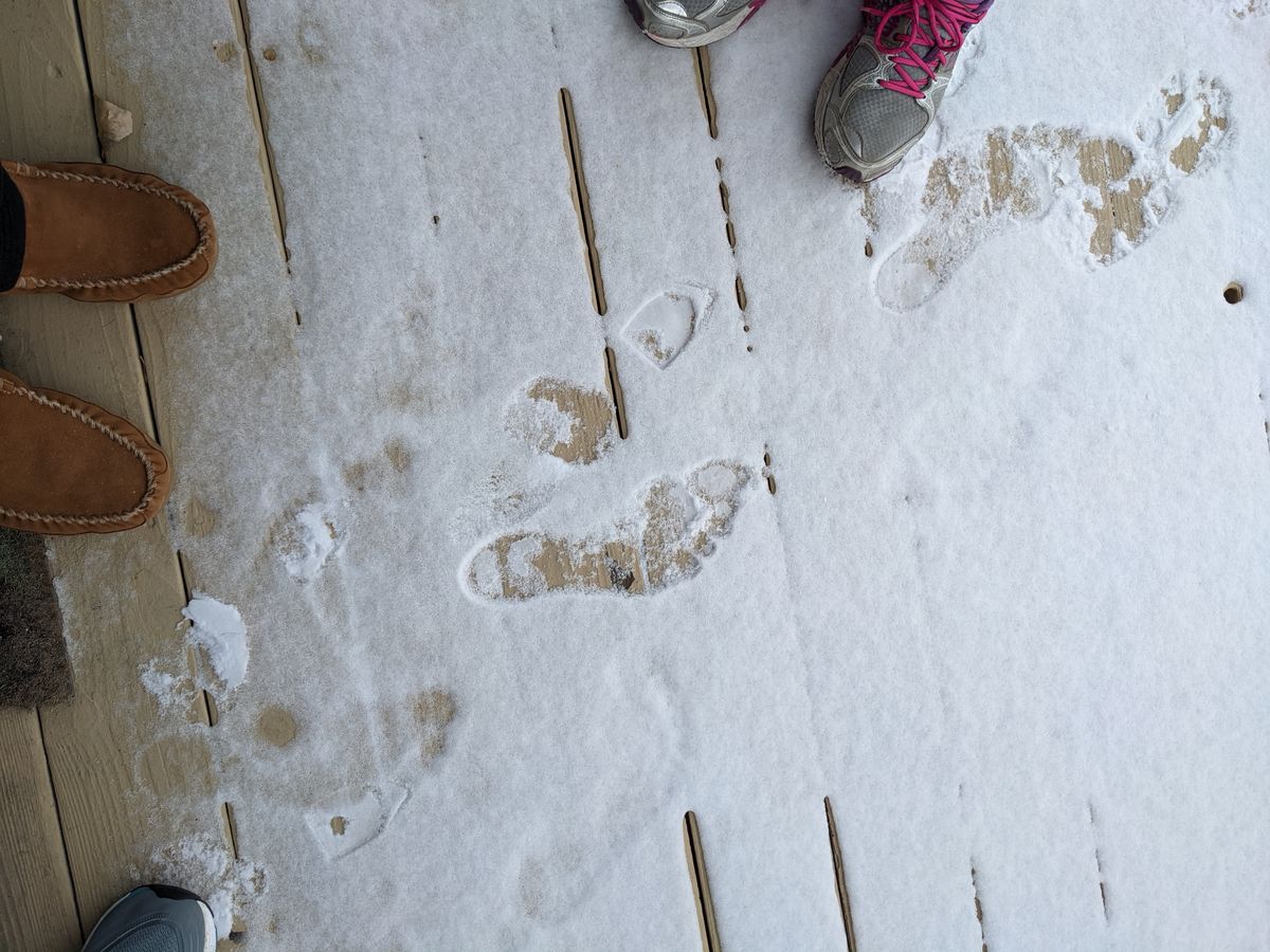 Proof Big Foot lives in Wyoming...