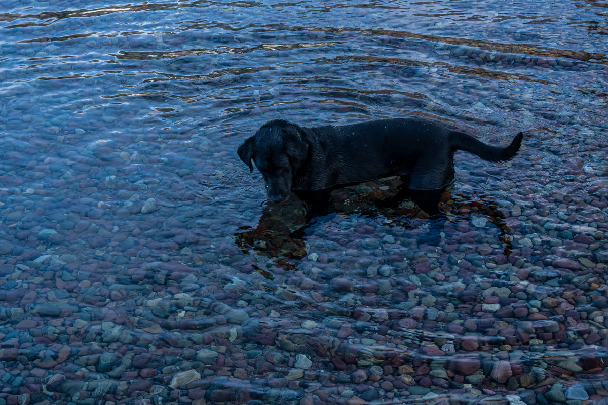 This lab was picking out the black rocks and takin...