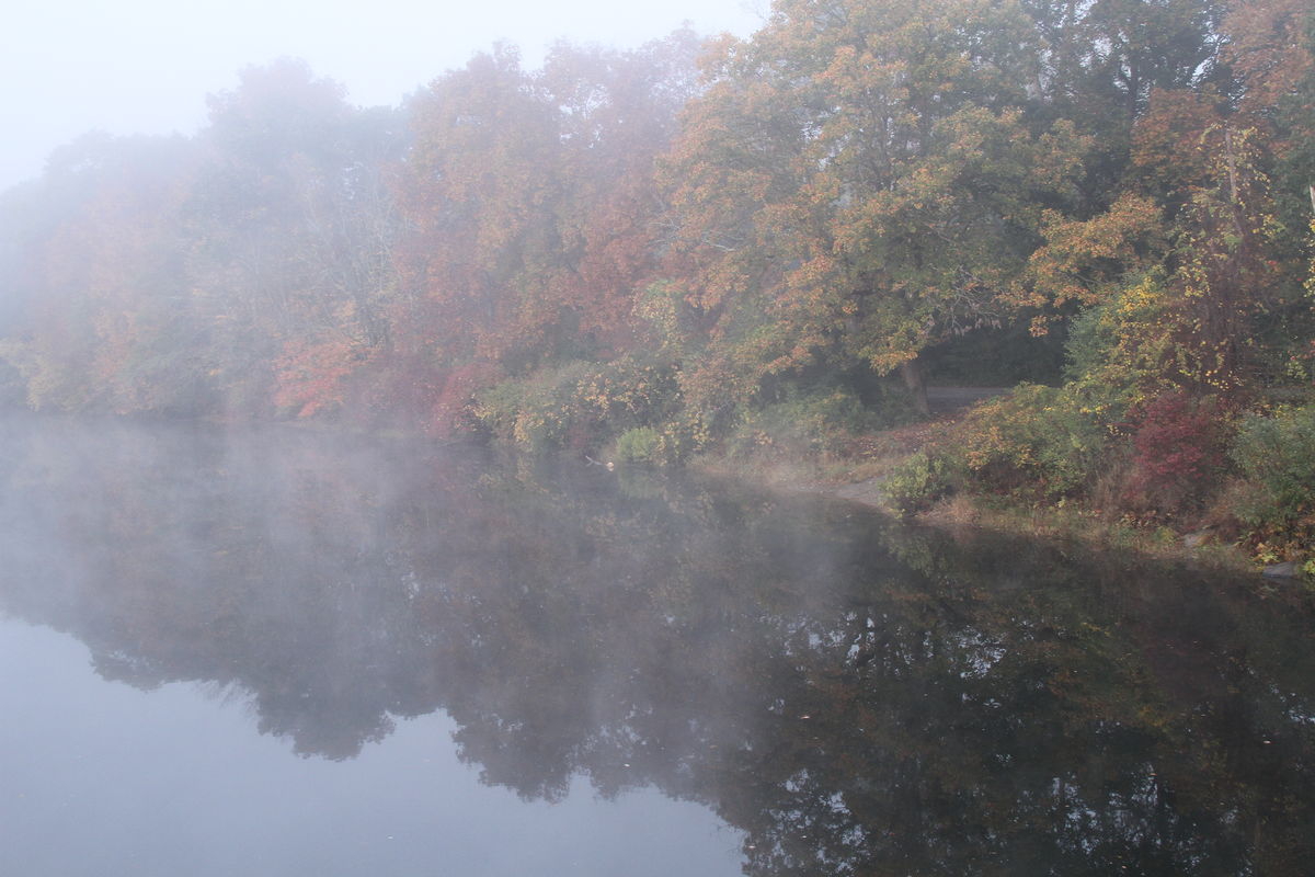 mist on the river...