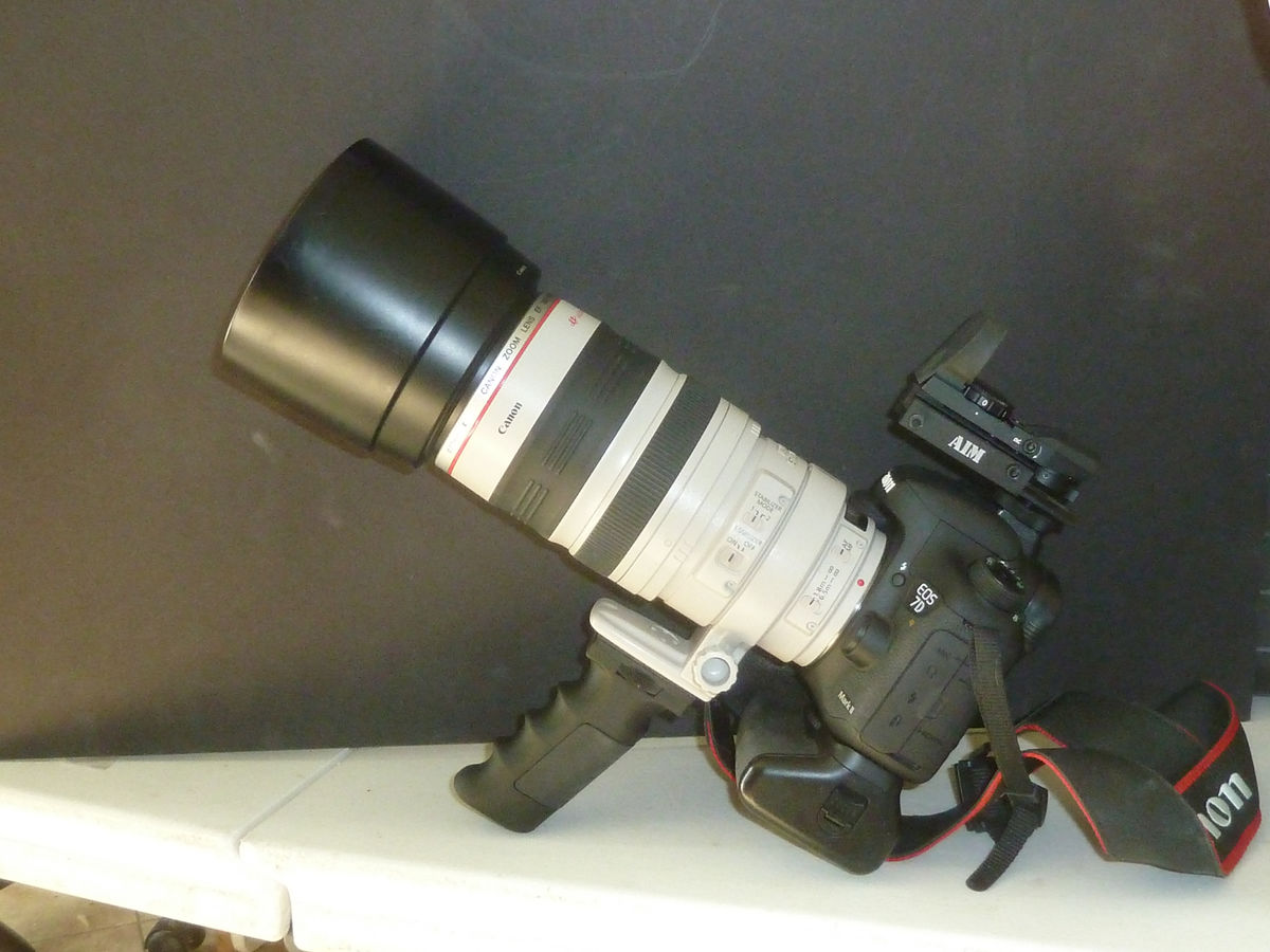 Canon 7DII with 100-400L and a "Red Dot" type sigh...
