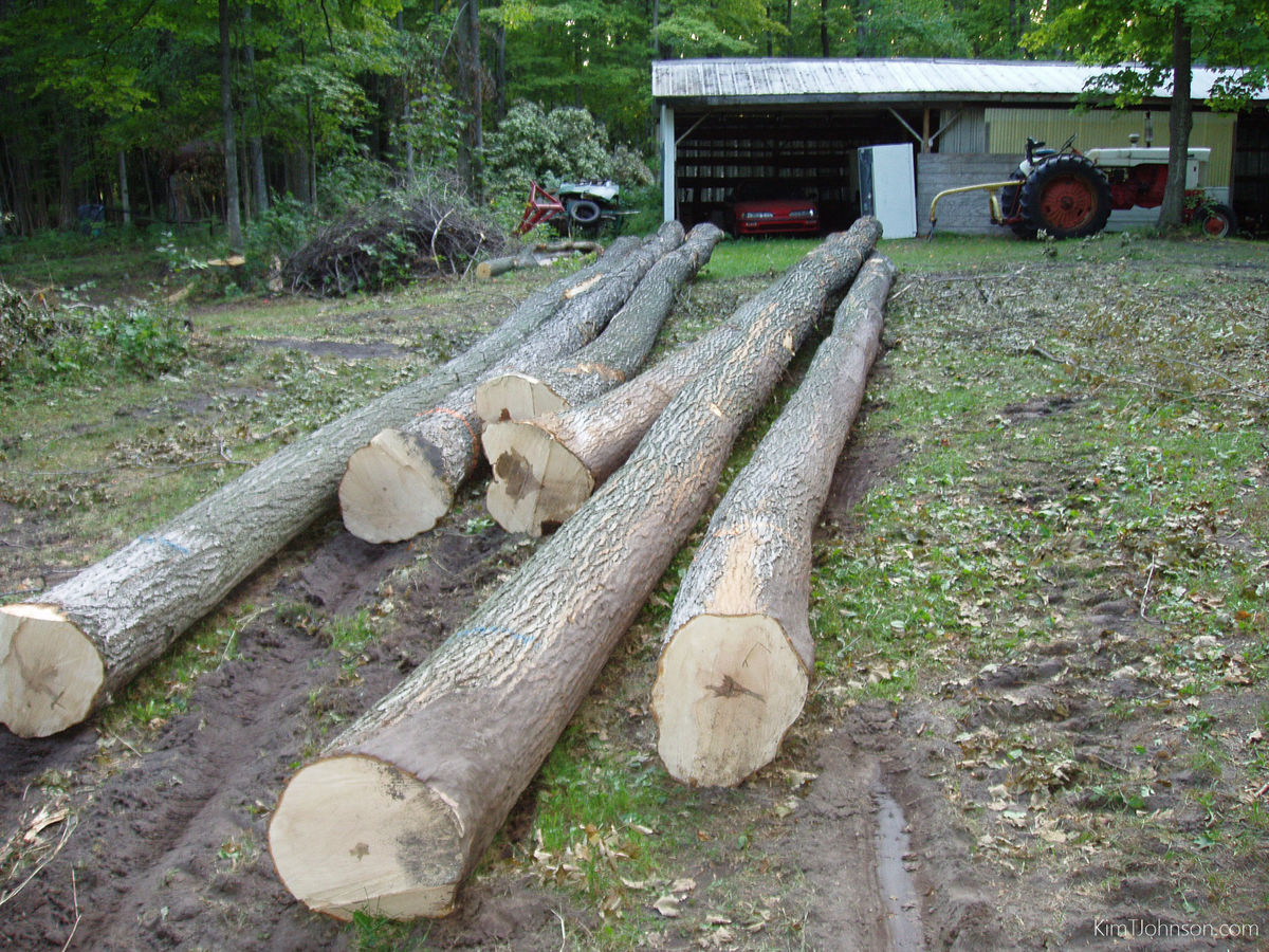 Used the tractor with tongs to haul logs to stagin...