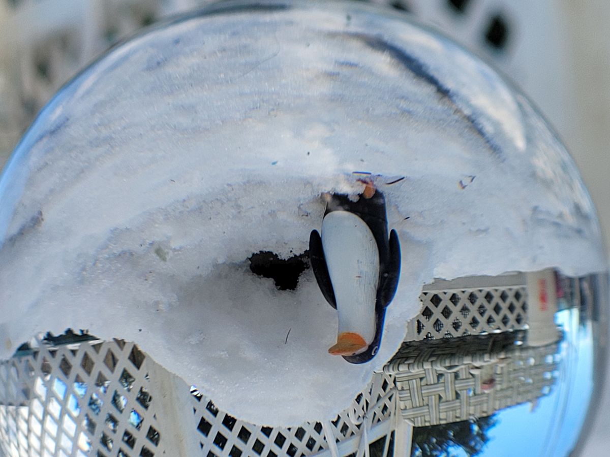 Penguin 🐧 and his igloo through my 10cm crystal b...