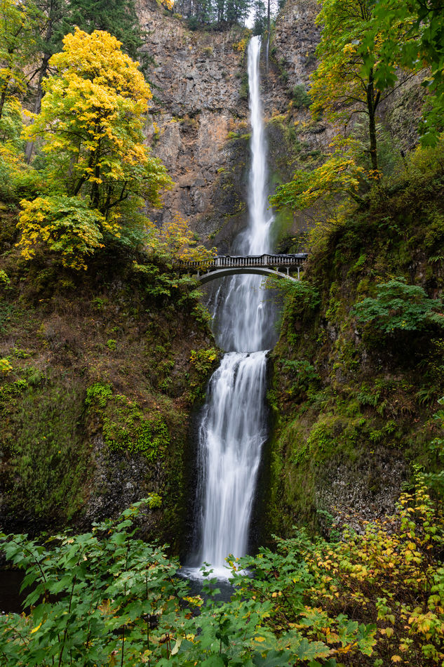 Multnomah Falls on the Oregon side of the gorge....