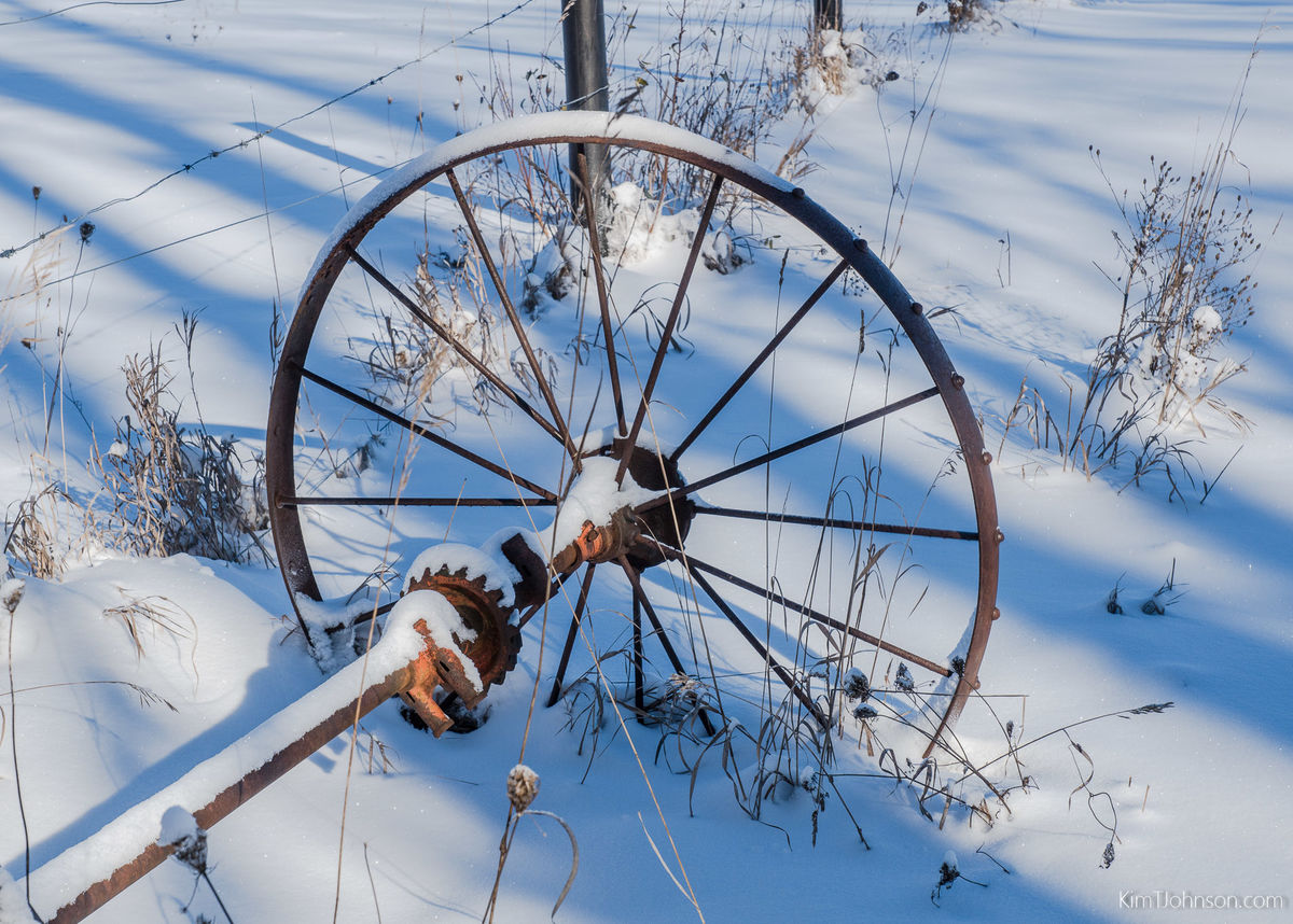 1. Old hay rake wheels & axel, always good for a p...