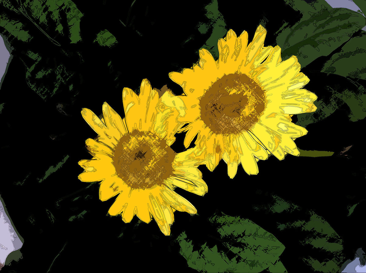 I thought these sunflowers made for a nice renderi...