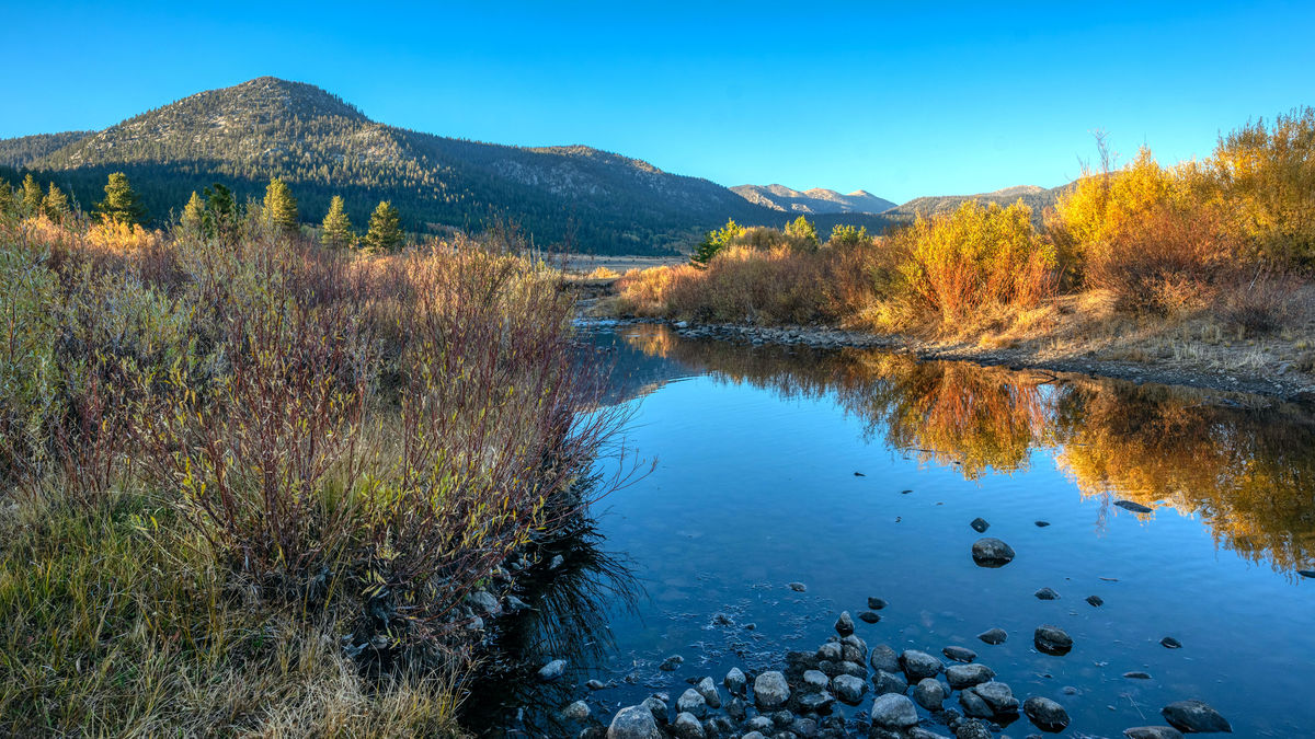 West Carson river, Sierra Nevada mountains, CA: West Carson river near ...