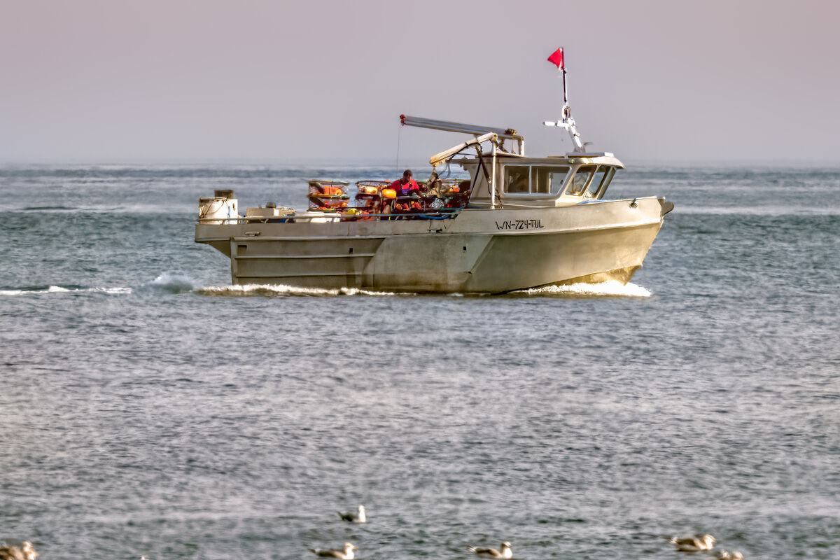Boat Shots PointNoPoint 1062022 A couple of fun boat shots. Crab
