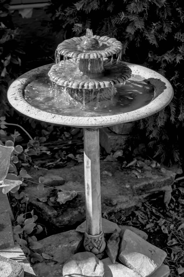 Clean & store the last remaining fountain before t...