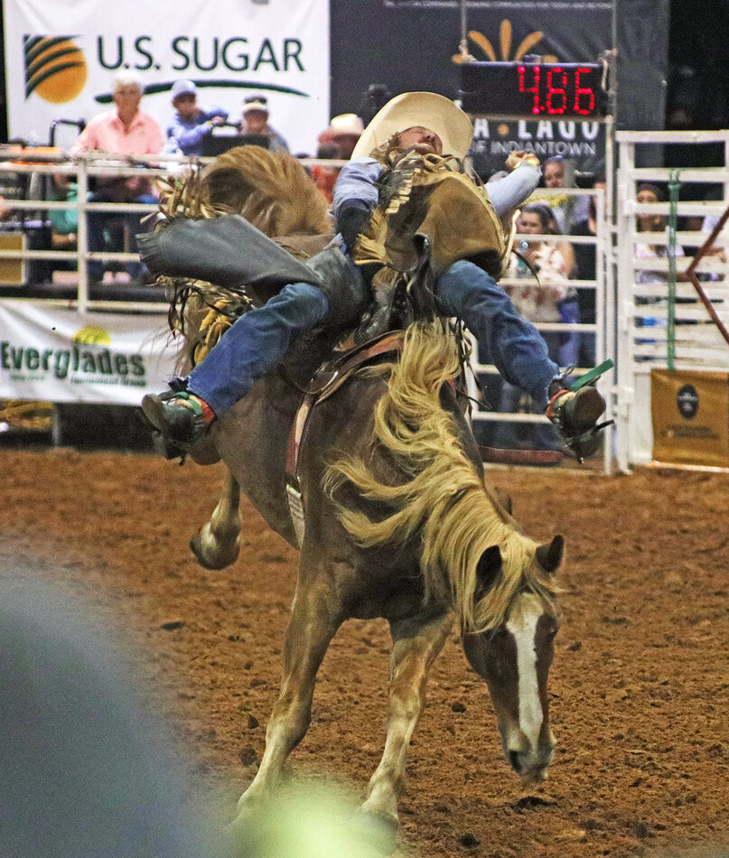 Night Rodeo Florida Indiantown Rodeo open air night time low