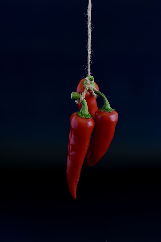 Moody Red Chile Peppers This is the first time doing peppers, I am