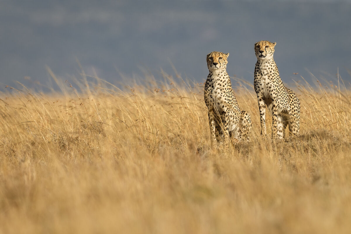 Back in Kenya Another photo I had in the phone! The remaining 2 of the