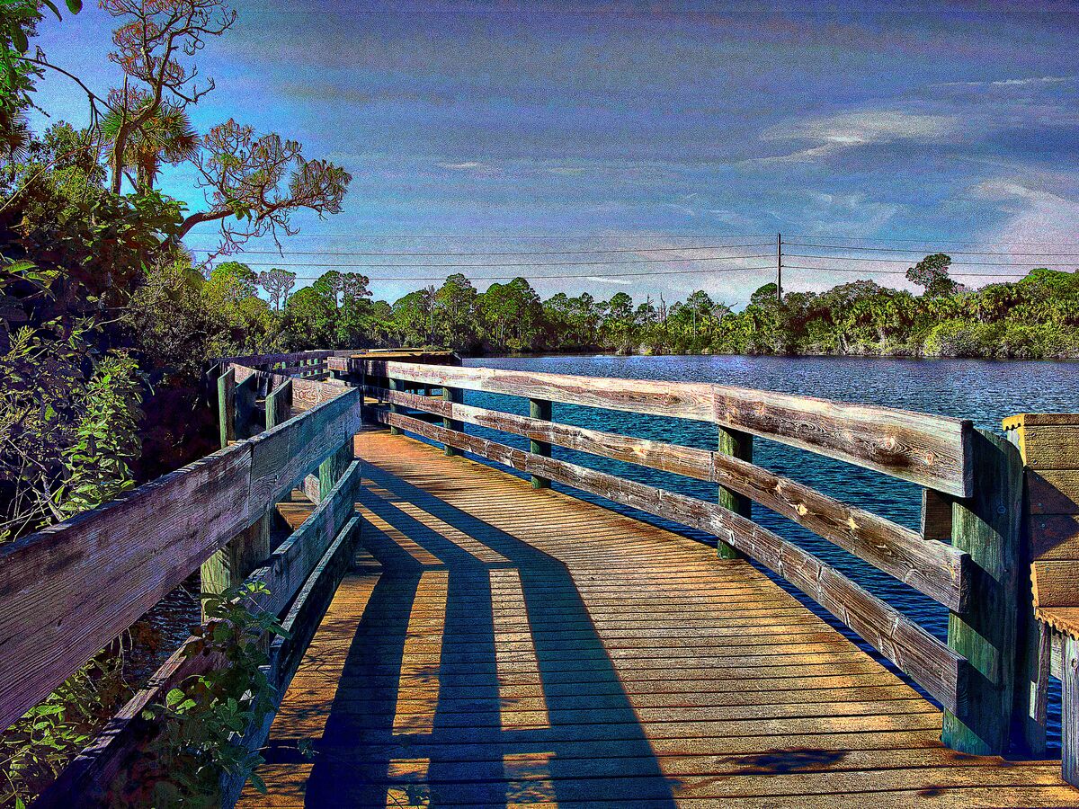 North Indian River County Preservation Area Florida North Indian   T1 355323 Preservation Area 