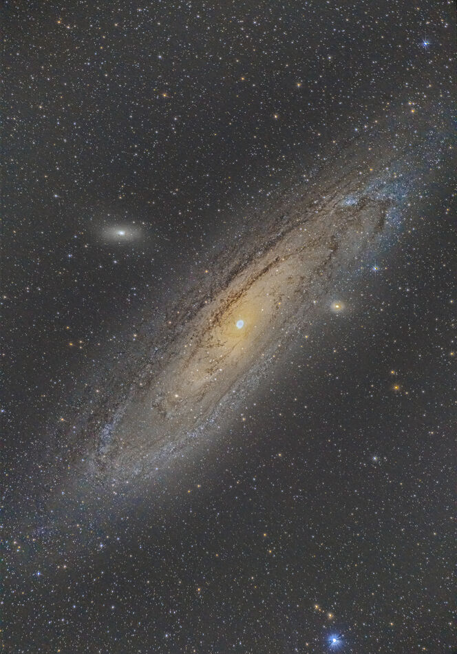 Andromeda (M31)(Sony A7R III,DL152,55x30s,ISO6400)...
