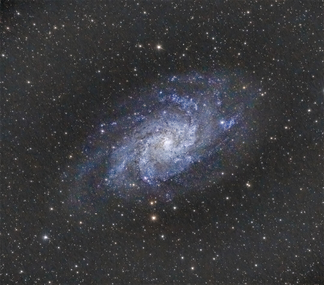 Triangulum (Pinwheel) Galaxy (M33)(Sony A7R III,DL...