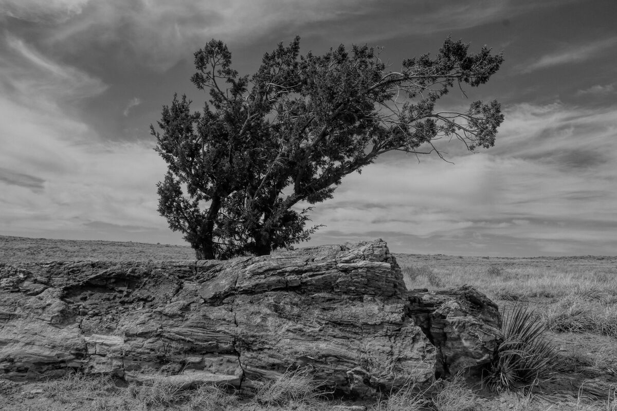 Photographie D'Arizona - Impression Numérique Couleur 15x20 Cm - 2018