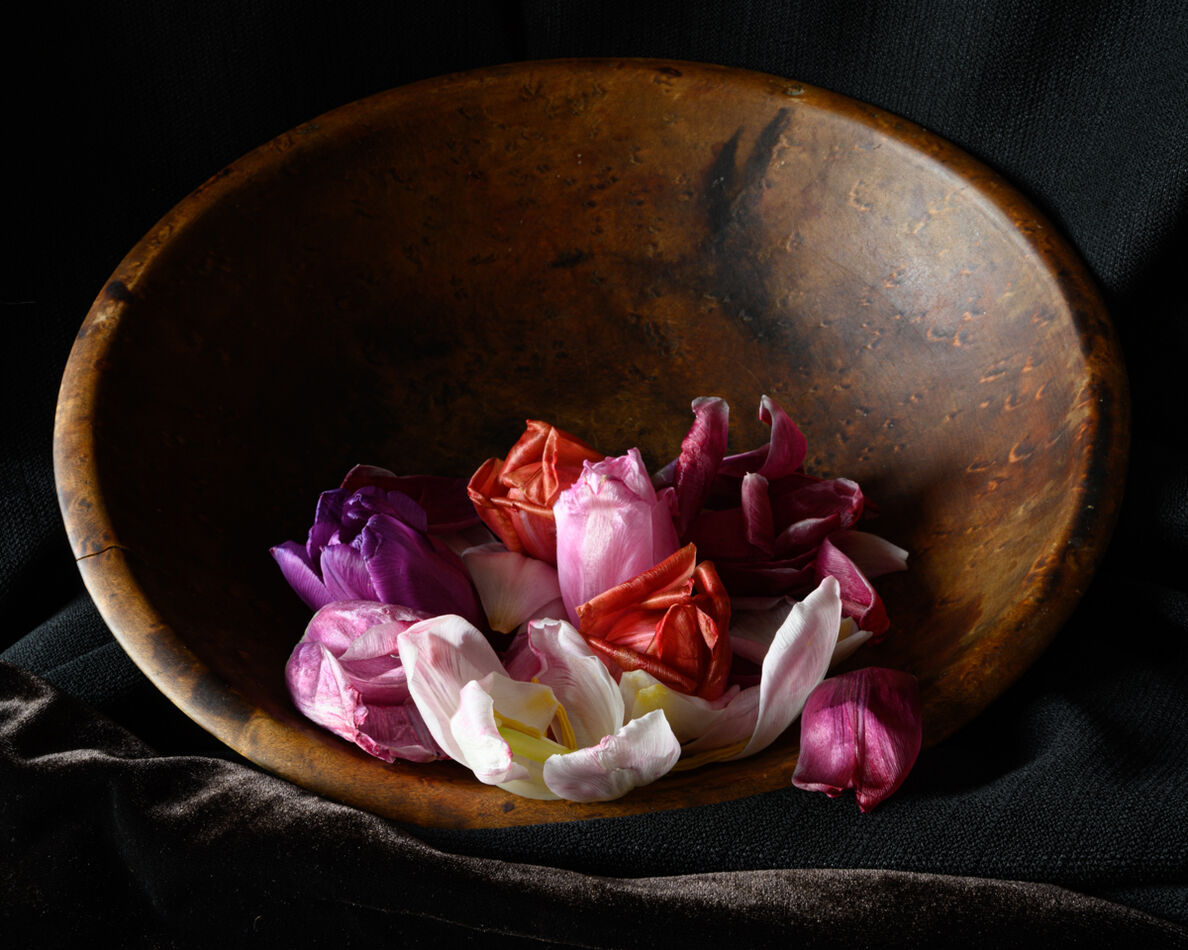 Second Place, "Still Life", Titled "Petals in a Bo...