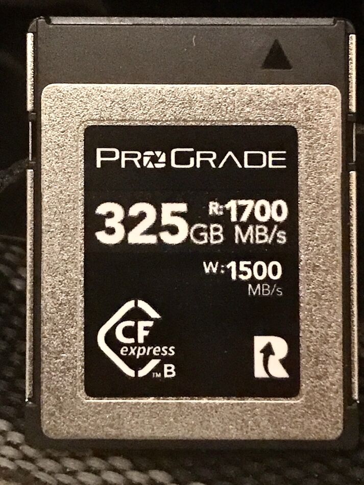 I need help!!!!!!! My Nikon Z6ii will not read any of myXQD cards. They
