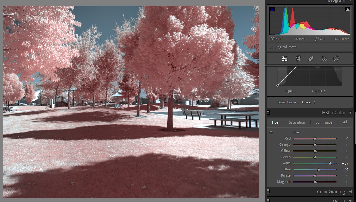 A trip to Photoshop to use Viveza to adjust some c...