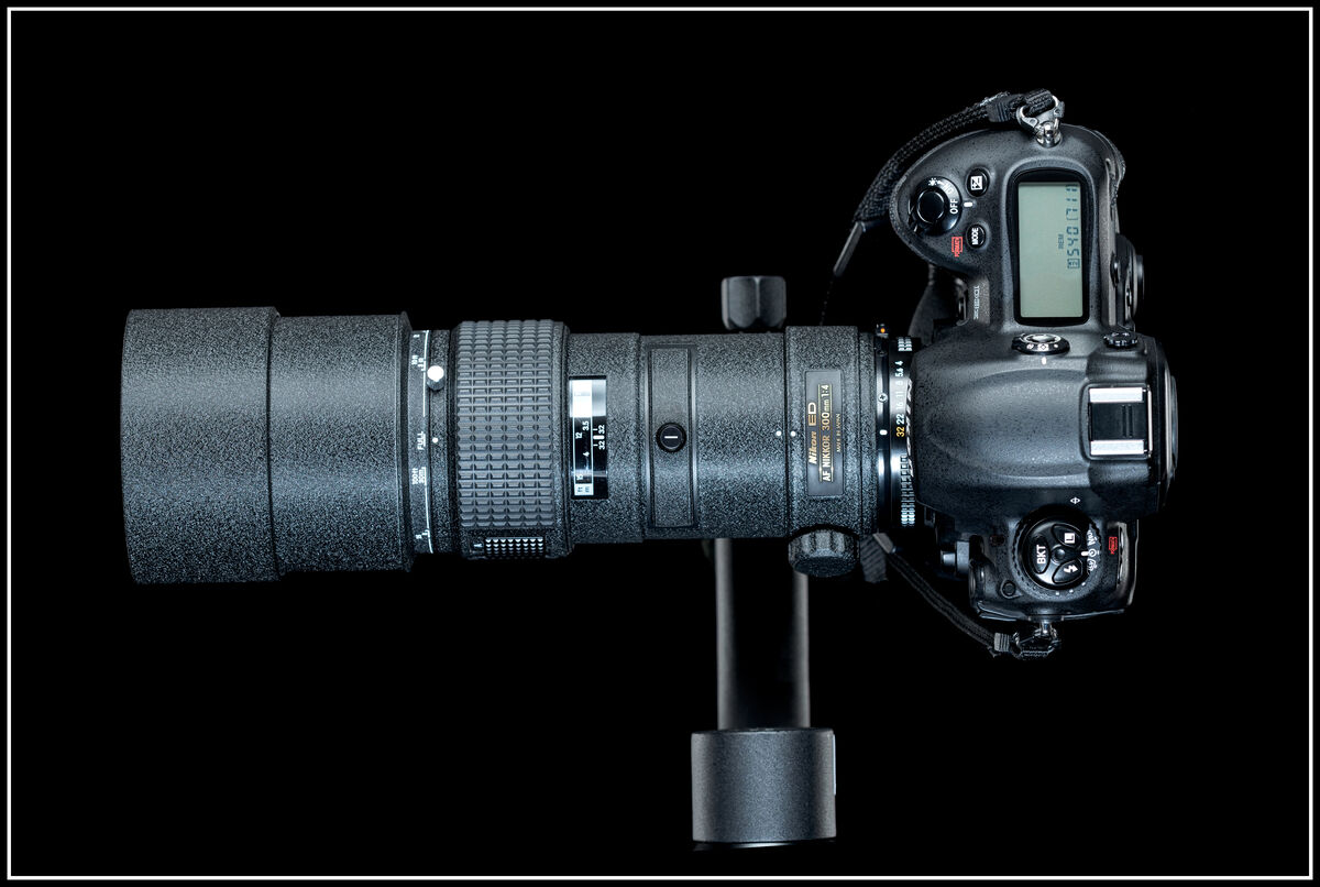 AF 300mm f/4 IF ED on a Nikon D3x (taken with Niko...