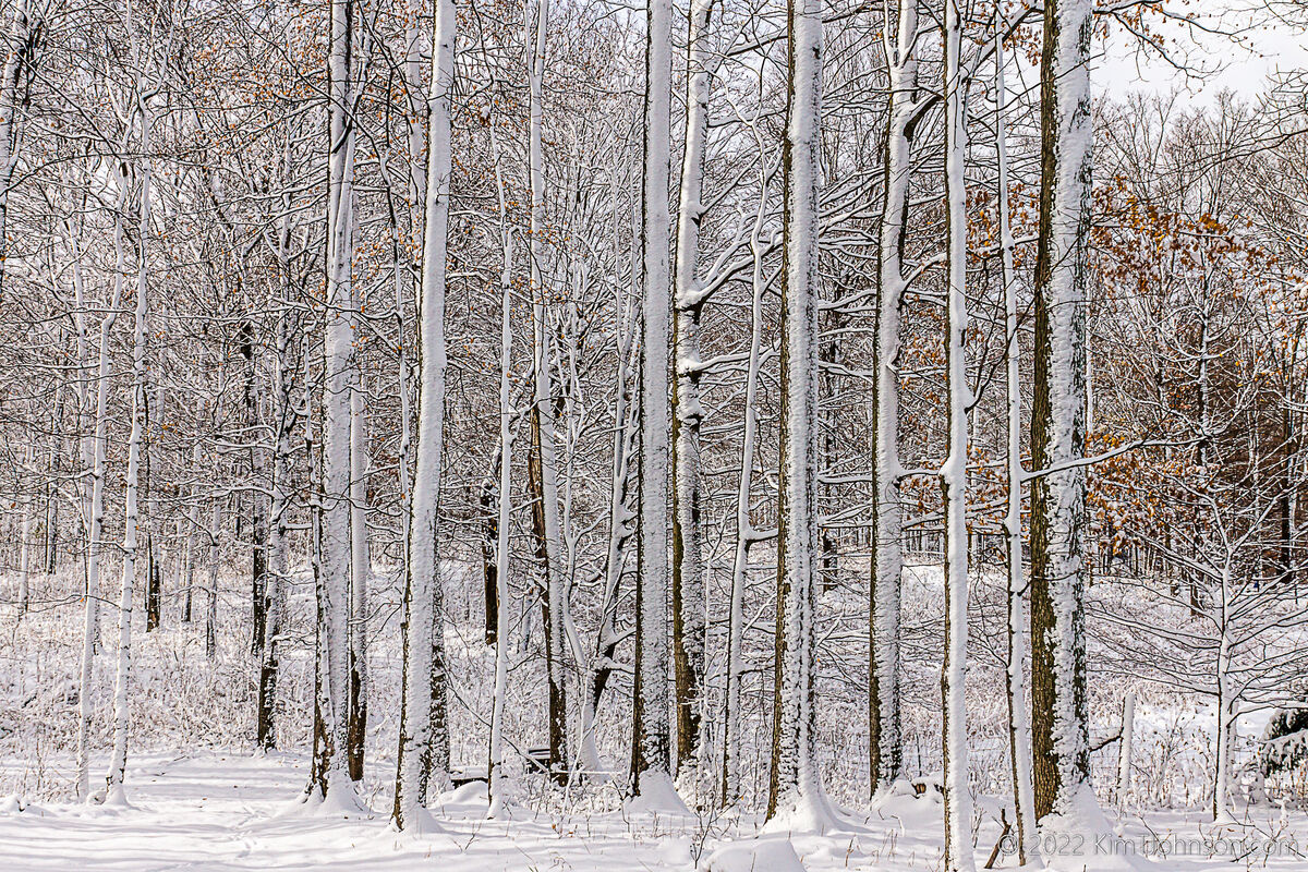 after-last-night-s-nor-easter-4-5-inches-of-heavy-wet-snow-at-30-32