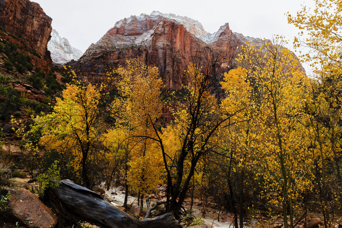 some pictures from Zion park I was in Zion Park last week. Had some