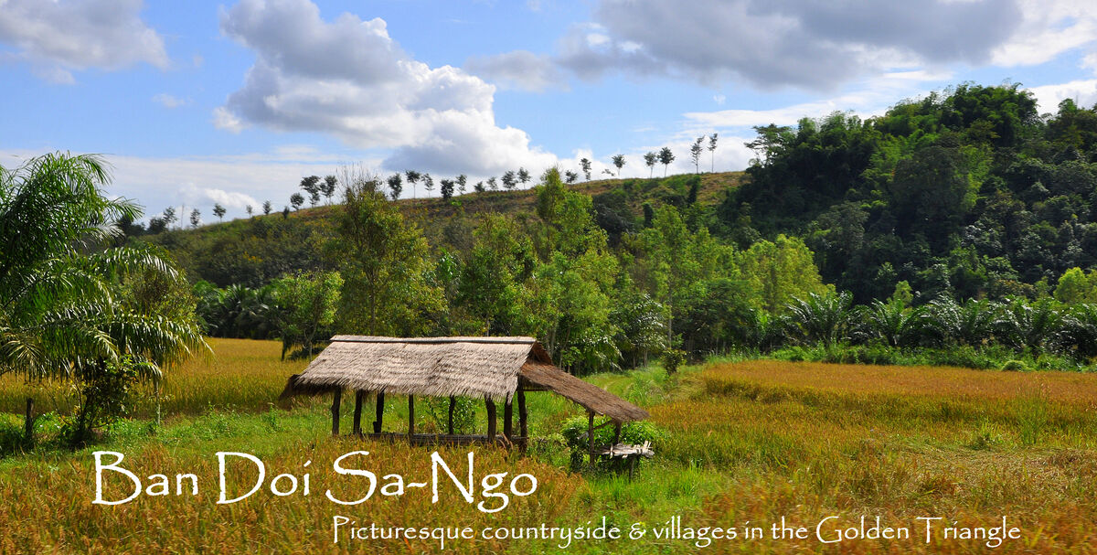 1 - On our drive through the Ban Doi Sa-Ngo rural ...