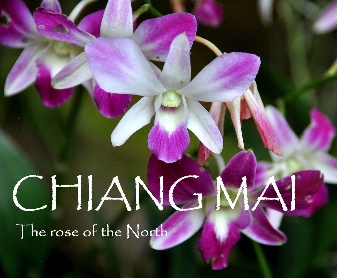 S & E Asia 181 - N Thailand 39: Chiang Mai: Wandering the streets near ...