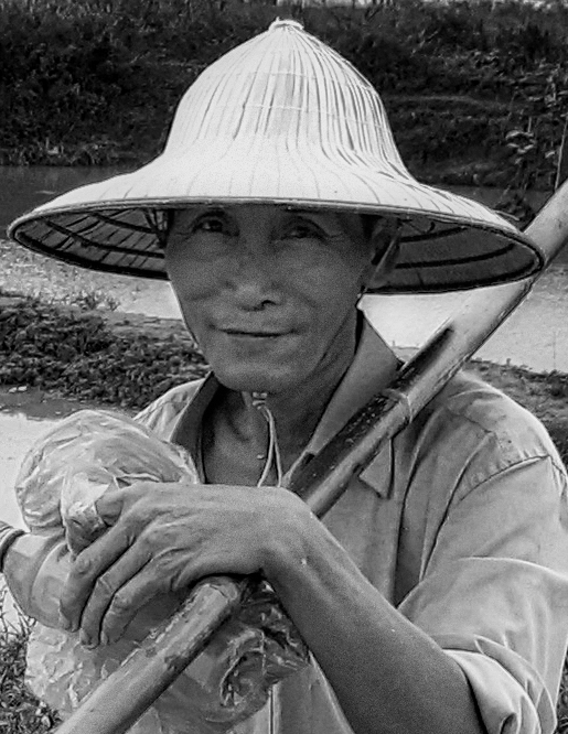 A rice paddy worker...