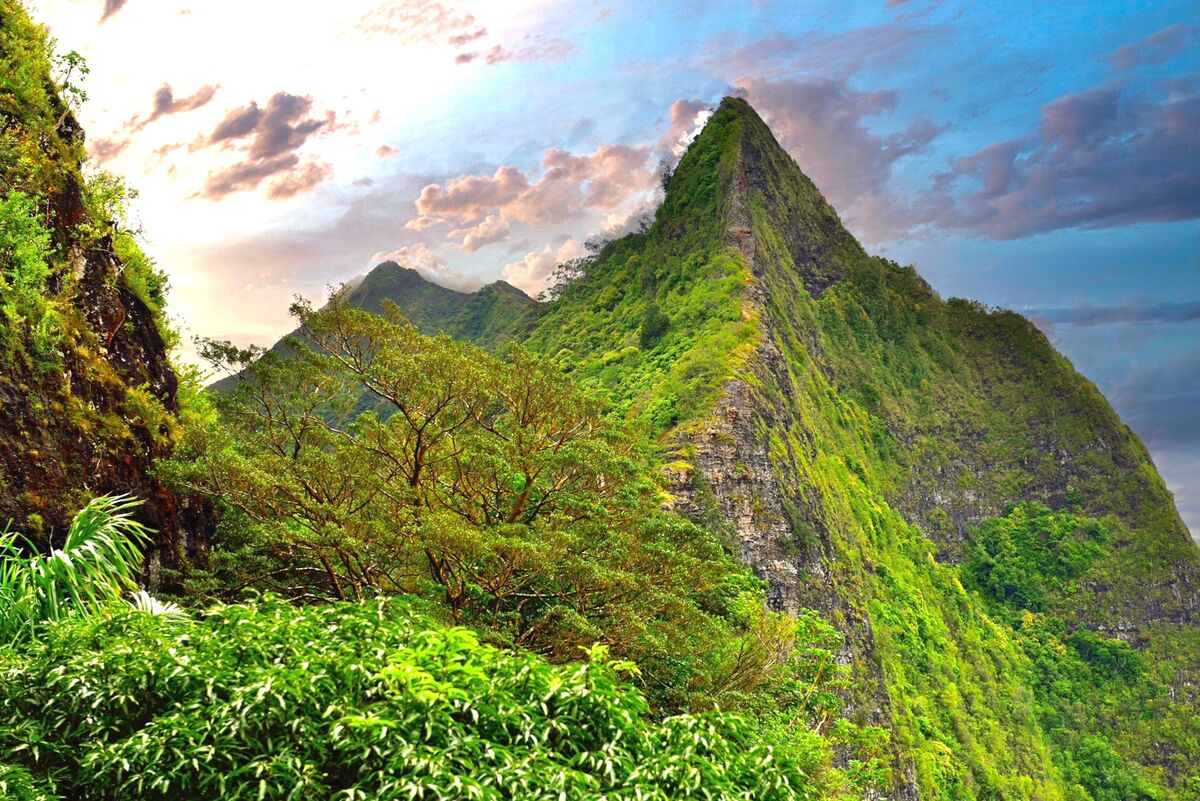 The Ridgeback Highway Pali Lookout: Off the Pali Highway on Oahu is the famed “Pali Lookout ...