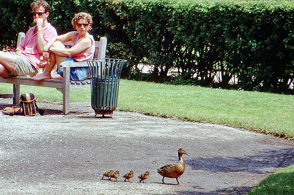 1992: Paris   Birdwatching in the garden of the Ro...