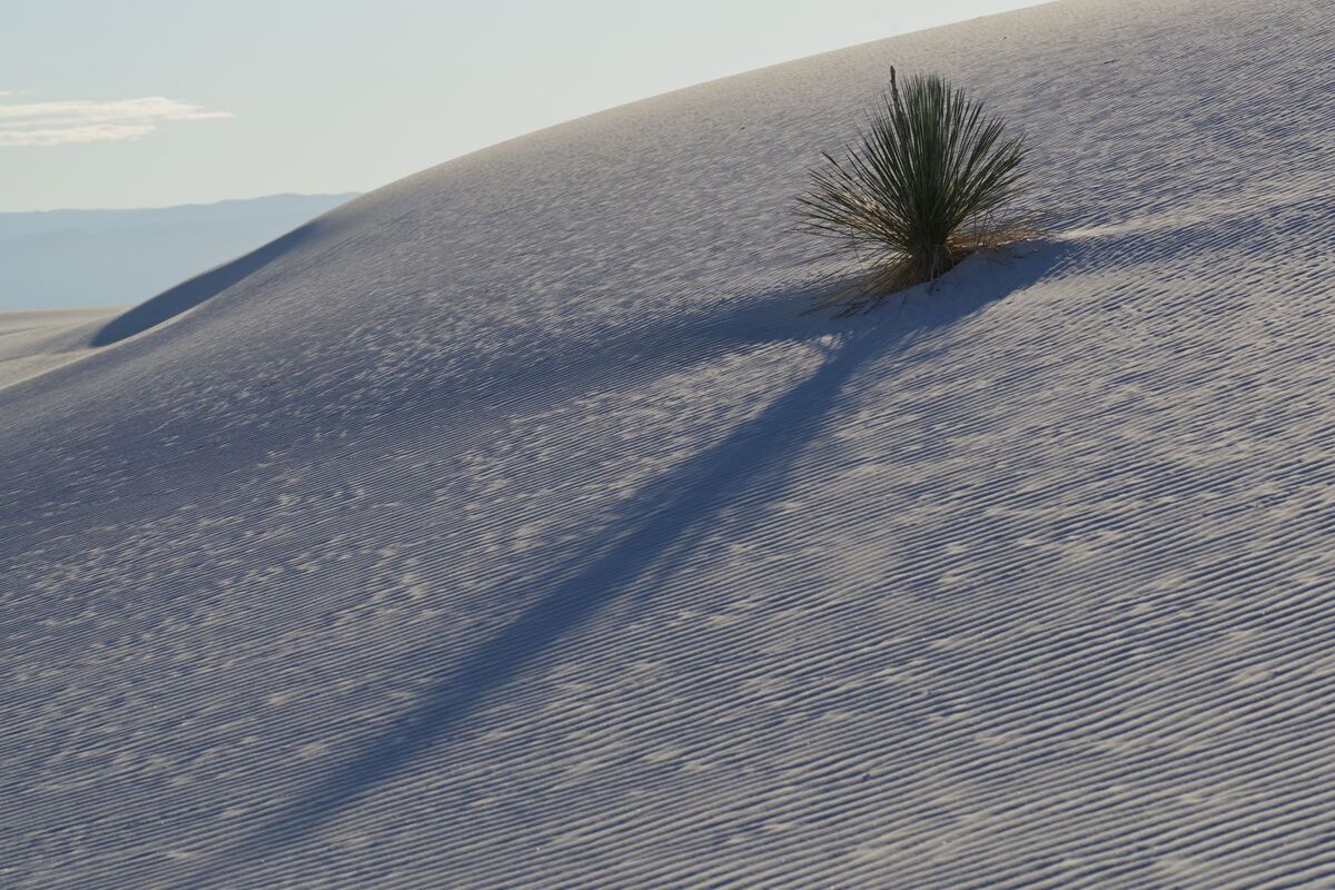 White Sands Morning 2...